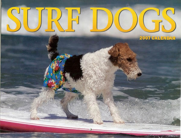 surfing dogs calendars