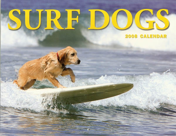 surfing dogs calendars