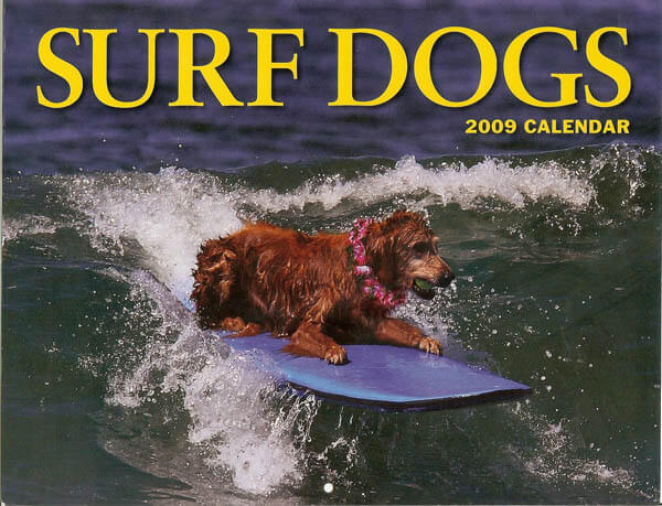 DOG PUPPY SURF SWIM WATER