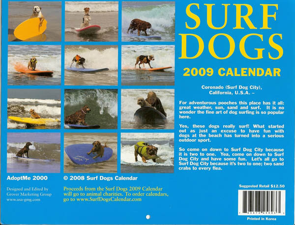 DOG PUPPY SURF SWIM WATER