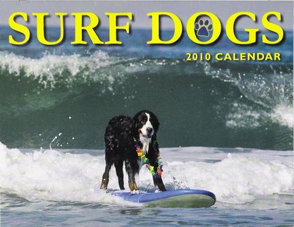 DOG PUPPY SURF SWIM WATER