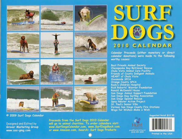 DOG PUPPY SURF SWIM WATER