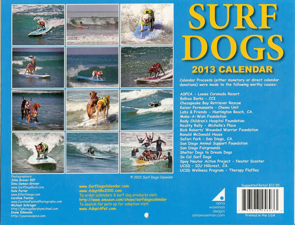 DOG PUPPY SURF SWIM WATER