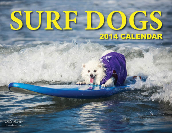 surfing dogs calendars