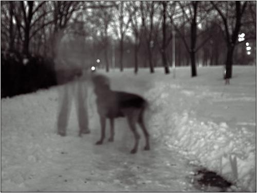 DOG and GHOST, MYTHOLOGY