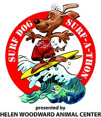 Teach dog surf