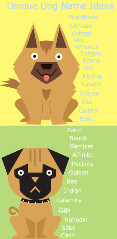 10.000 free dog & puppy names, nicks
