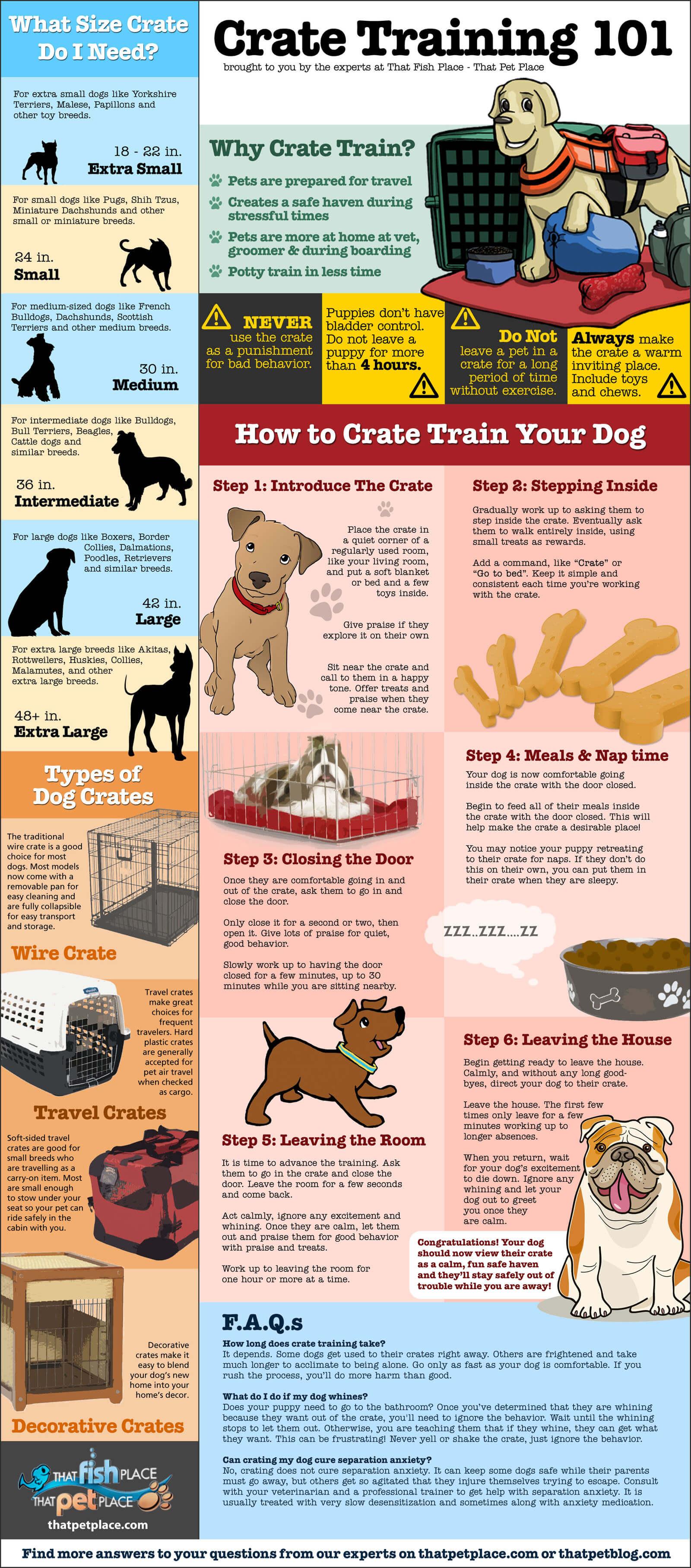 Dog Crate Training & Teaching INFOGRAFICS