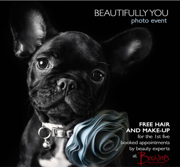 DEAF DOGS and PUPPIES