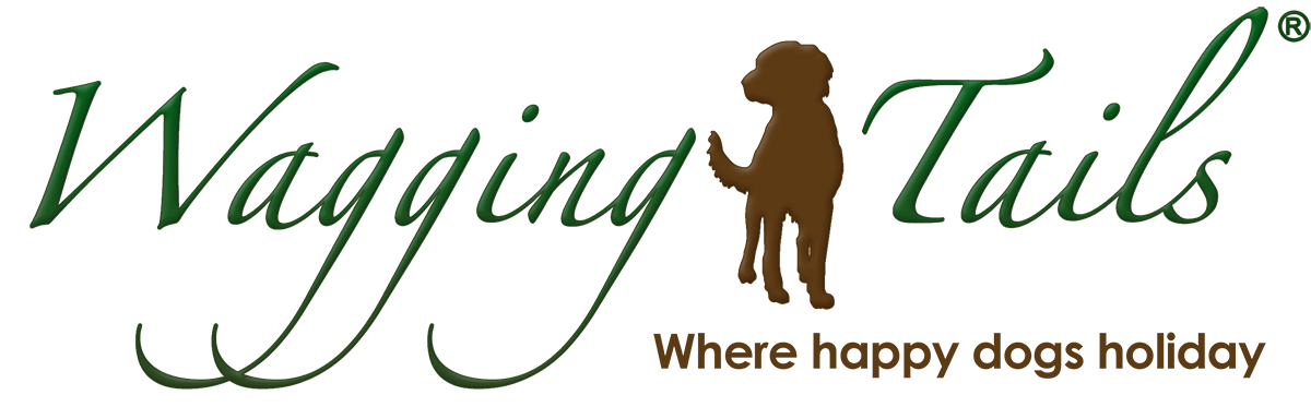 WWW.WAGGINGTAILSUK.CO.UK