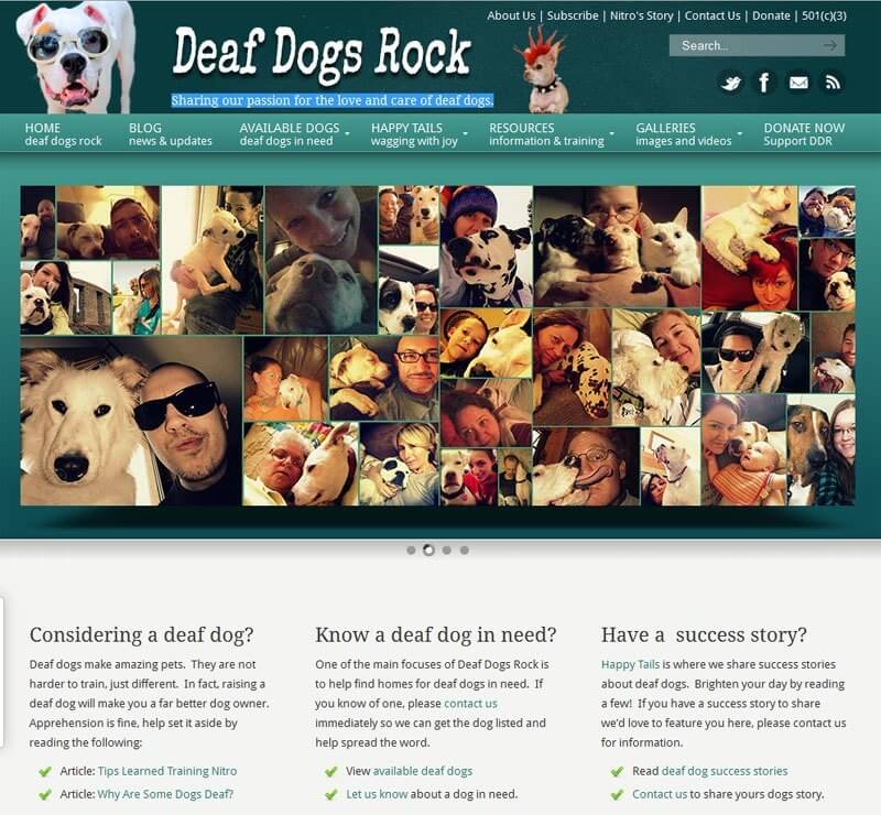 http://WWW.DEAFDOGSROCK.COM