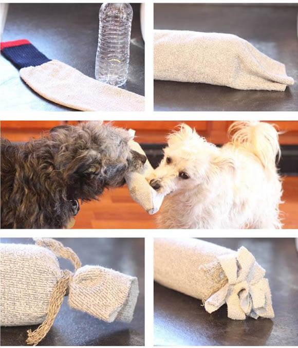 dog and puppy toy