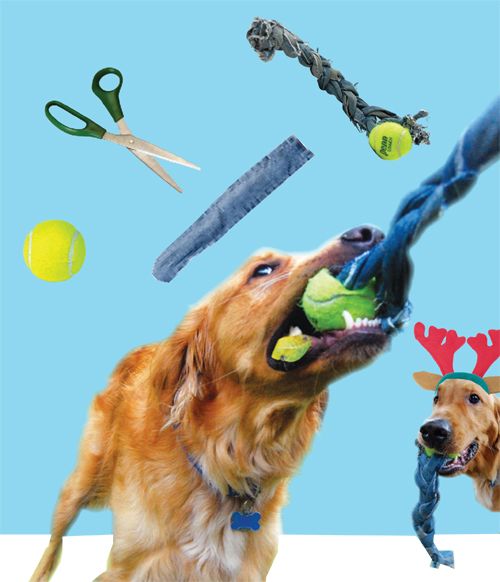 DOG TOYS PUPPY