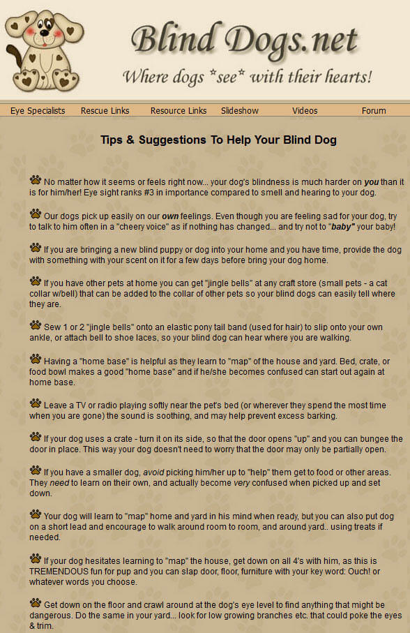 BLIND DOG TIPS by WWW.BLINDDOGS.NET