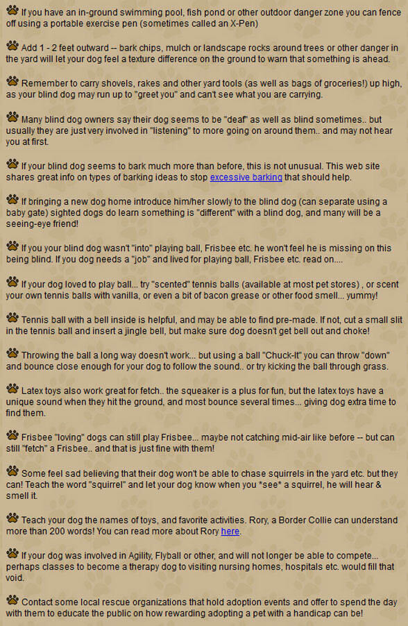 BLIND DOG TIPS by WWW.BLINDDOGS.NET