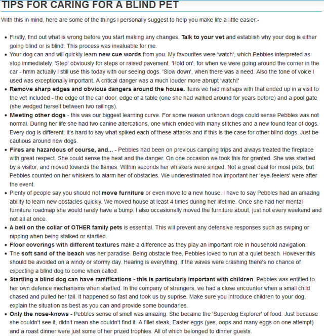 BLIND DOG TIPS by WWW.ESSENDONVET.COM.AU