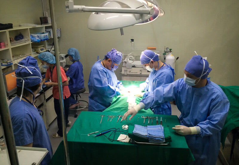 The Cloning Dog Surgery in Sooam (South Korea) - This Photo is courtesy of Rob Stein (c) - The History of Dog Cloning