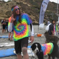 Teach dog surf