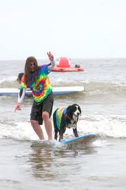 Teach dog surf