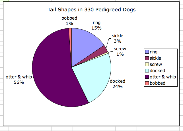 Dog and Puppy tail types