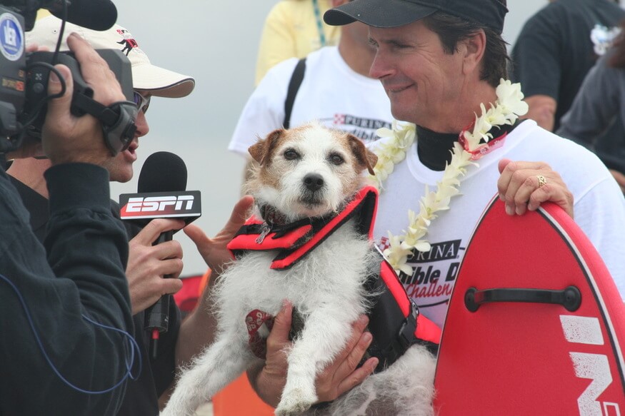 dog surf - photo (c) by SoCal Surf