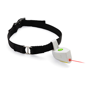 LASER DOG TOYS