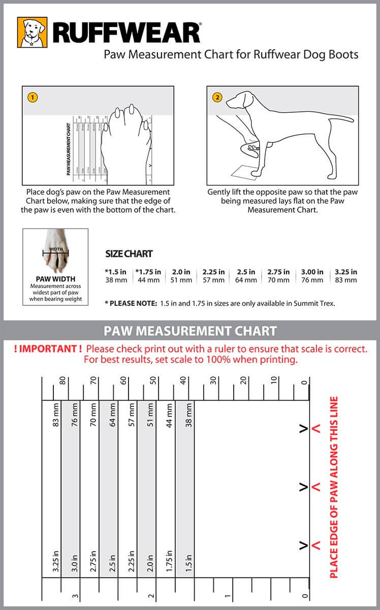 21 Reliable, Compatible & Comfort Dog Boots Reviewed √ How to Get Dog Used to Boots? How to