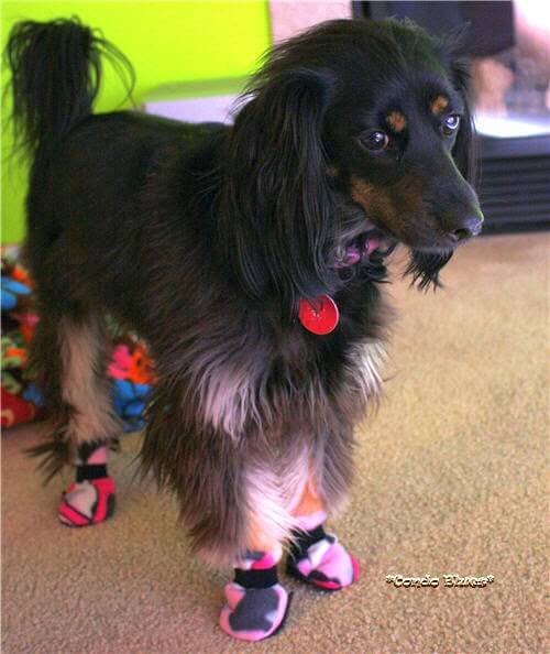 HOMEMADE DOG SHOES & BOOTS, HOW TO MAKE DOG BOOTS AT HOME