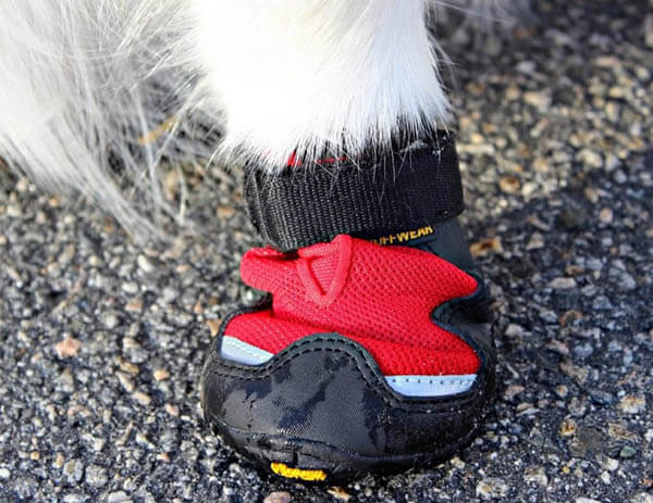 HOMEMADE DOG SHOES & BOOTS, HOW TO MAKE DOG BOOTS AT HOME