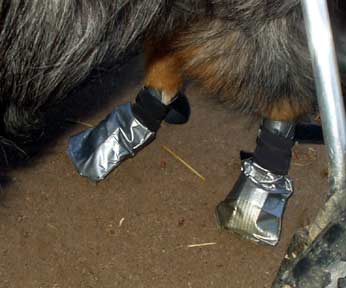 HOMEMADE DOG SHOES & BOOTS, HOW TO MAKE DOG BOOTS AT HOME