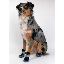 Dog Shoes and Boots Types, Styles, Sizes, Cost