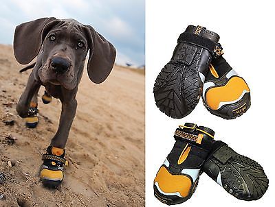 BEST DOG BOOTS