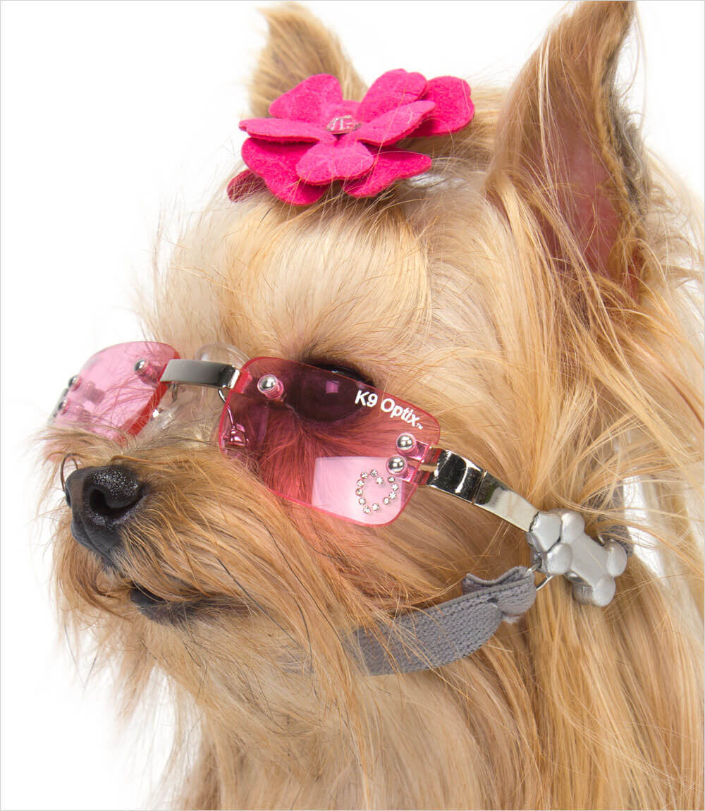 BEST SUNGLASSES FOR DOGS