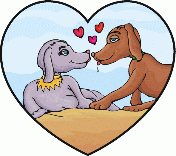 DOG and PUPPY LOVE, WEDDING and MARRIAGE