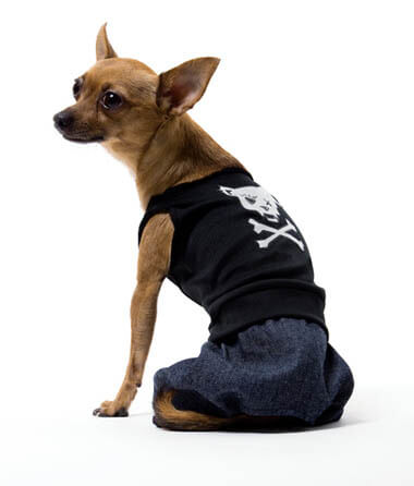 DOG APPAREL DRESS CLOTHES