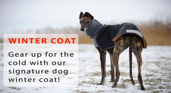 DOG APPAREL DRESS CLOTHES