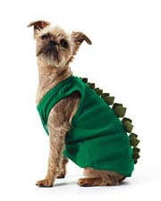 DOG COSTUME