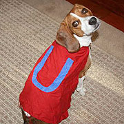 DOG COSTUME