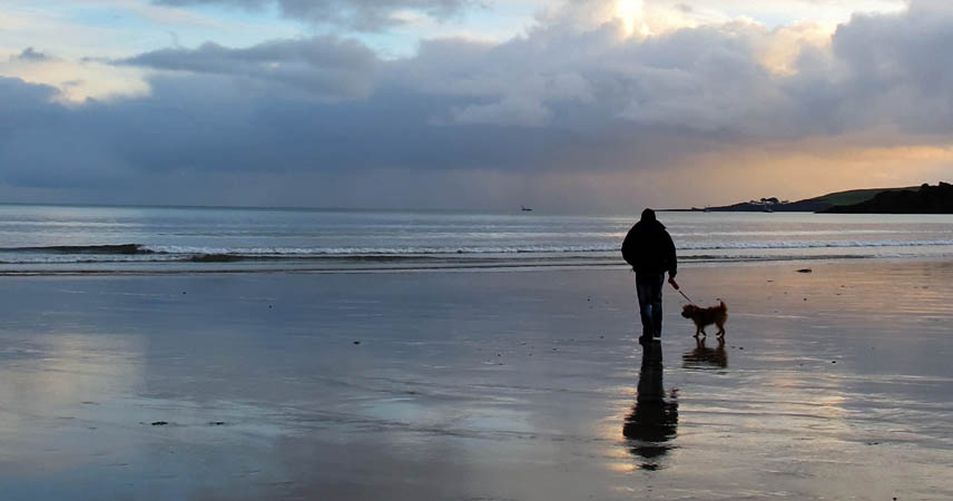 DOG BEACH