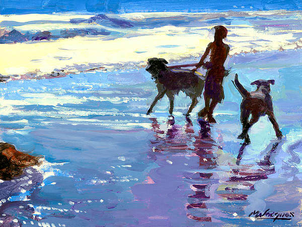 DOG SEASHORE