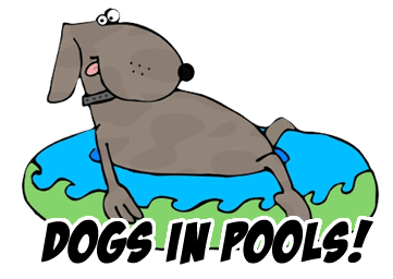 Dog Pools, Underwater Dogs and Puppies