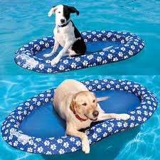 dog pools