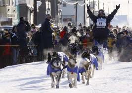 Dog Race, Fastest Dog Breeds, Speed of Dogs