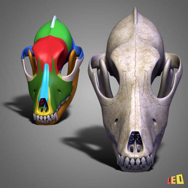 Dog Head Model 3D