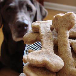 Dog Meal Recipes by WWW.ALLWOMENSTALK.COM