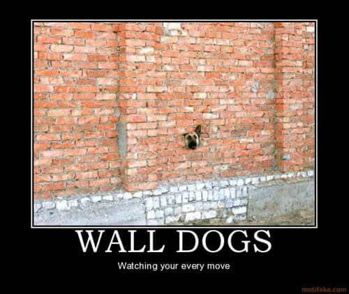 Dog demotivators and graphics