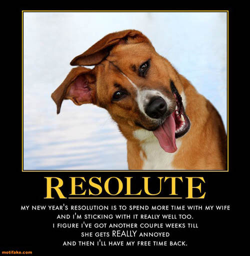 Dog demotivators and graphics