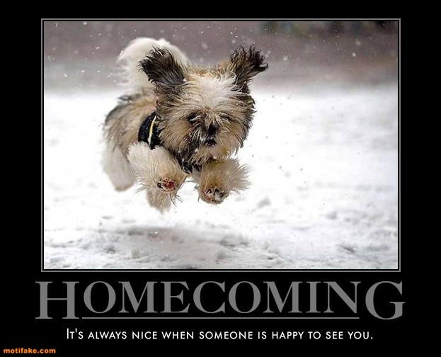 Dog demotivators and graphics