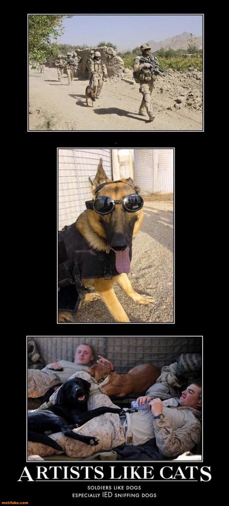 Dog demotivators and graphics