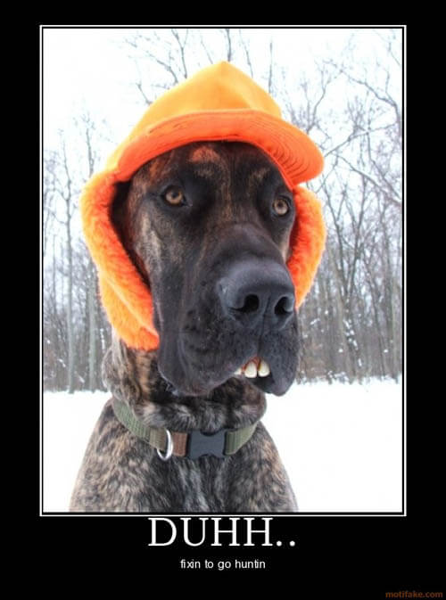 Dog demotivators and graphics